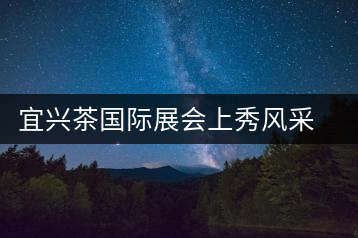 宜興茶國際展會(huì)上秀風(fēng)采宜興茶國際展會(huì)上秀風(fēng)采