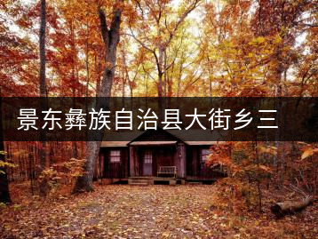 景東彝族自治縣大街鄉(xiāng)三營(yíng)茶廠