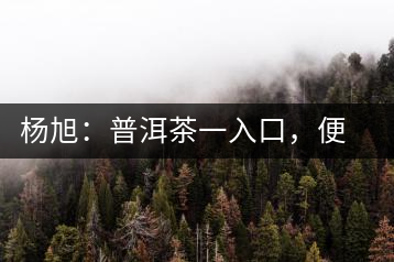 楊旭：普洱茶一入口，便知產(chǎn)地和年份
