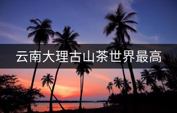 云南大理古山茶世界最高