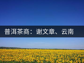 普洱茶商：謝文章、云南谷申商貿(mào)有限公司總經(jīng)理