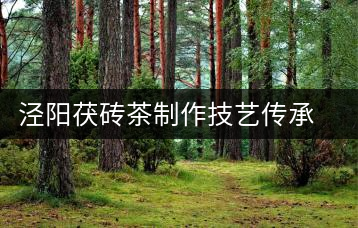 涇陽茯磚茶制作技藝傳承人高續(xù)：金獎三連冠的背后