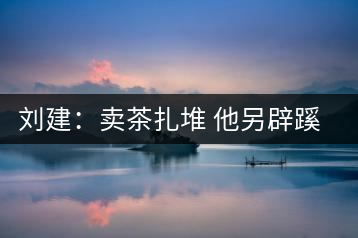 劉建：賣茶扎堆 他另辟蹊徑教“泡茶”