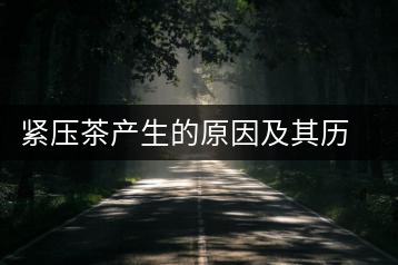 緊壓茶產(chǎn)生的原因及其歷史發(fā)展過程