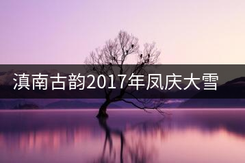 滇南古韻2017年鳳慶大雪山開(kāi)湯品鑒