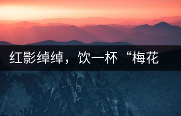 紅影綽綽，飲一杯“梅花”醉