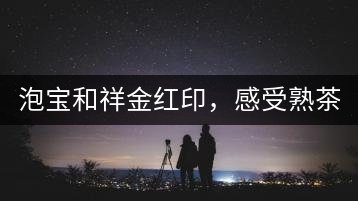 泡寶和祥金紅印，感受熟茶之美。