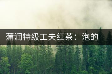 蒲潤特級工夫紅茶：泡的方便，喝的舒適