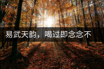 易武天韻，喝過即念念不忘的茶中皇后