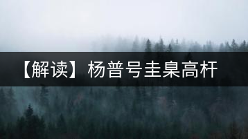 【解讀】楊普號(hào)圭臬高桿茶：形高、氣足、韻遠(yuǎn)的一款茶