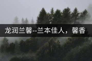 龍潤(rùn)蘭馨–蘭本佳人，馨香高雅
