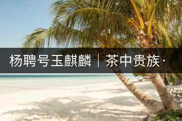 楊聘號玉麒麟｜茶中貴族·冰島古樹