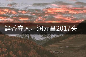 鮮香奪人，潤(rùn)元昌2017頭采小青柑即將上市