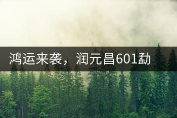 鴻運(yùn)來襲，潤(rùn)元昌601勐海紅韻熟茶即將上市