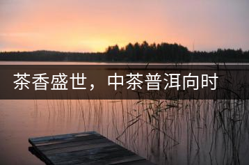 茶香盛世，中茶普洱向時代獻禮