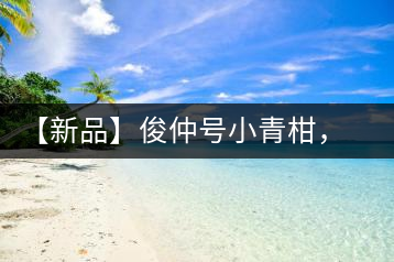 【新品】俊仲號(hào)小青柑，青果來(lái)傾城