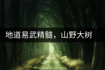 地道易武精髓，山野大樹珍品—普秀易武生態(tài)喬木圓茶即將上市