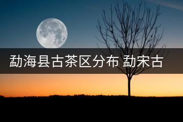 勐?？h古茶區(qū)分布 勐宋古茶山