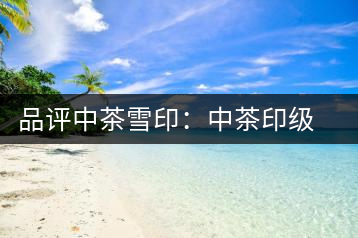 品評中茶雪?。褐胁栌〖壊璧慕?jīng)典傳承