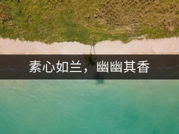 素心如蘭，幽幽其香