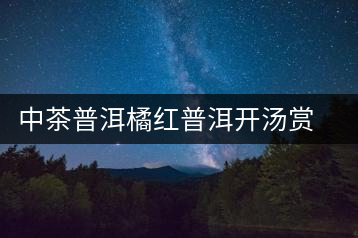 中茶普洱橘紅普洱開(kāi)湯賞析