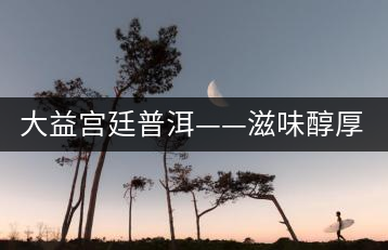 大益宮廷普洱——滋味醇厚，陳香濃郁