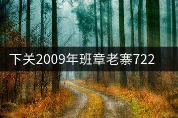 下關(guān)2009年班章老寨7223開(kāi)湯品鑒