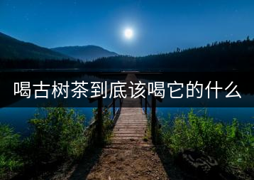 喝古樹茶到底該喝它的什么？