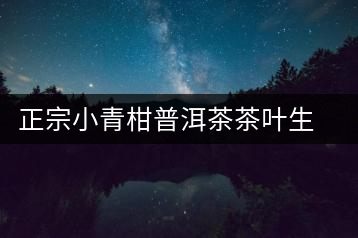 正宗小青柑普洱茶茶葉生曬新會(huì)特級(jí)柑普熟茶陳皮桔普木冠散裝罐裝