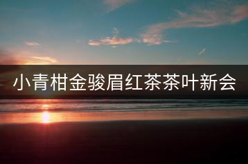 小青柑金駿眉紅茶茶葉新會生曬陳皮2020武夷濃香型君宜散裝罐裝