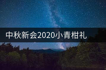 中秋新會(huì)2020小青柑禮盒裝青桔普洱茶迷你小沱茶散裝桔陳皮茶葉