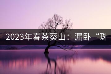 2023年春茶葵山：漏臥“珠江紅：1200元-3200元（有3個(gè)檔次）漏臥“大廠茶”：古樹單株8600-9000元／公斤，中樹4800-5200元／公斤，小樹混采2600-2800元／公斤。