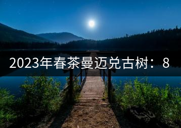 2023年春茶曼邁兌古樹：860元／Kg，小樹：180元／kg