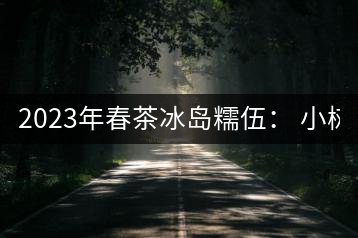 2023年春茶冰島糯伍： 小樹1300元／公斤，古樹：2100~2300元／公斤