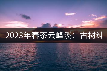 2023年春茶云峰溪：古樹純料：1200-1500元／公斤，古樹混采800-1000元／公斤，大樹500-800元／公斤，小樹300-500元／公斤