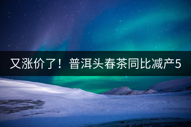 又漲價了！普洱頭春茶同比減產(chǎn)50%，薄荷塘一類鮮葉需當面議價