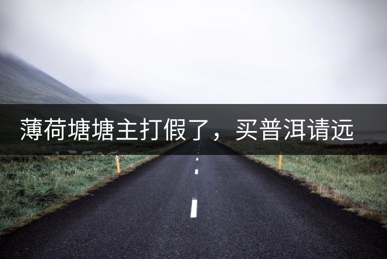 薄荷塘塘主打假了，買普洱請(qǐng)遠(yuǎn)離那些講故事的奸商