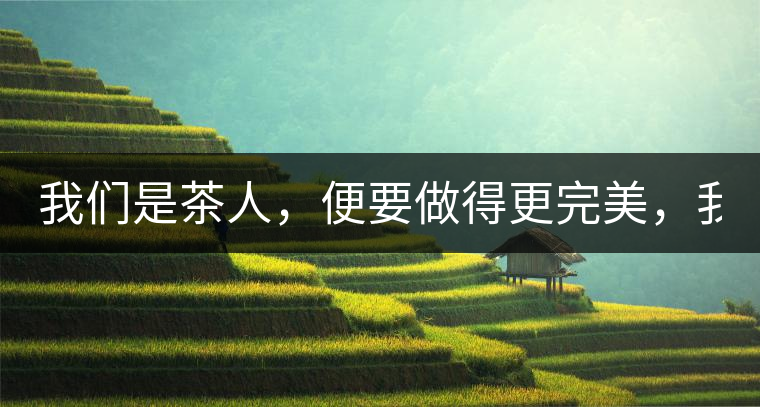 我們是茶人，便要做得更完美，我們是茶客，便要懂得沉默...我們是茶人，便要做得更完美，我們是茶客，便要懂得沉默！