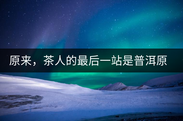 原來，茶人的最后一站是普洱原來，茶人的最后一站是普洱