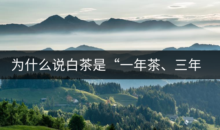 為什么說(shuō)白茶是“一年茶、三年藥、七年寶”?為什么說(shuō)白茶是“一年茶、三年藥、七年寶”？