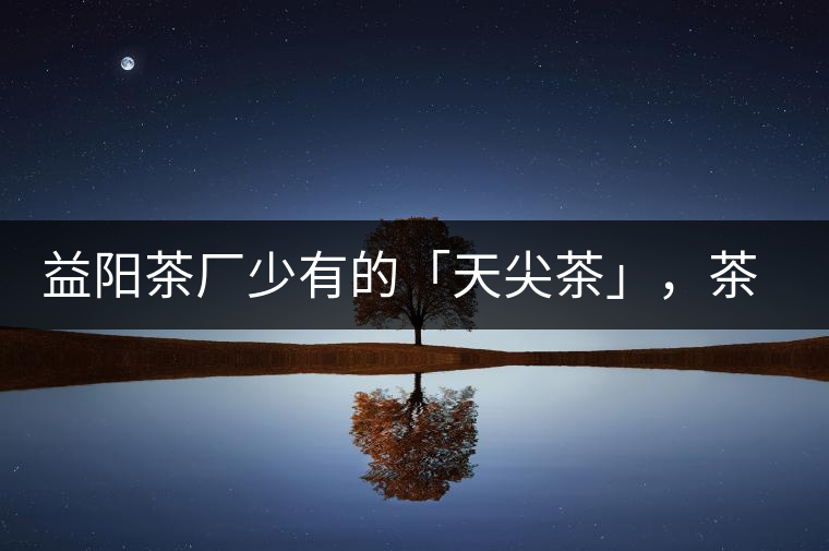 益陽茶廠少有的「天尖茶」，茶品升級，收藏趁早！