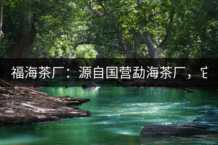 福海茶廠：源自國營勐海茶廠，它是99易武綠星星之母