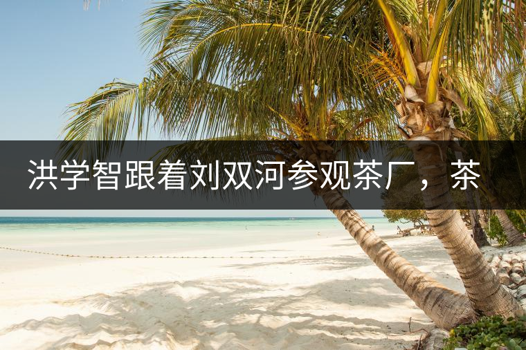 洪學(xué)智跟著劉雙河參觀茶廠，茶廠黃老板對賣苦力的百姓百般欺凌