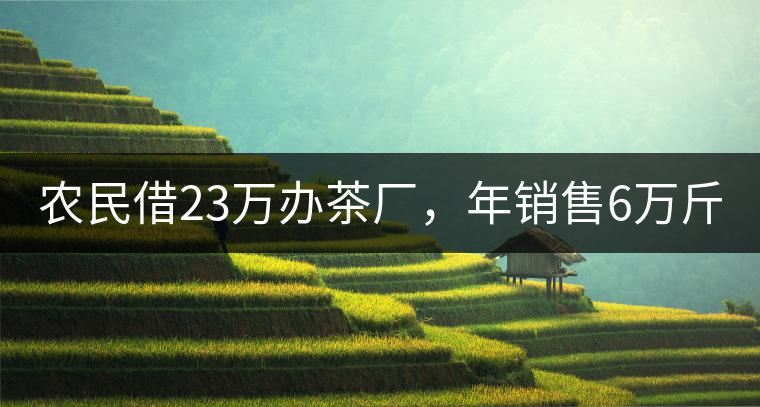 農(nóng)民借23萬辦茶廠，年銷售6萬斤，每天休息僅20分鐘!農(nóng)民借23萬辦茶廠，年銷售6萬斤，每天休息僅20分鐘！