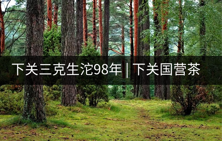 下關(guān)三克生沱98年 | 下關(guān)國(guó)營(yíng)茶廠出口料，干倉(cāng)儲(chǔ)存，...下關(guān)三克生沱98年 | 下關(guān)國(guó)營(yíng)茶廠出口料，干倉(cāng)儲(chǔ)存，19年老茶！