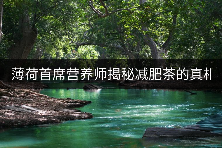 薄荷首席營養(yǎng)師揭秘減肥茶的真相！