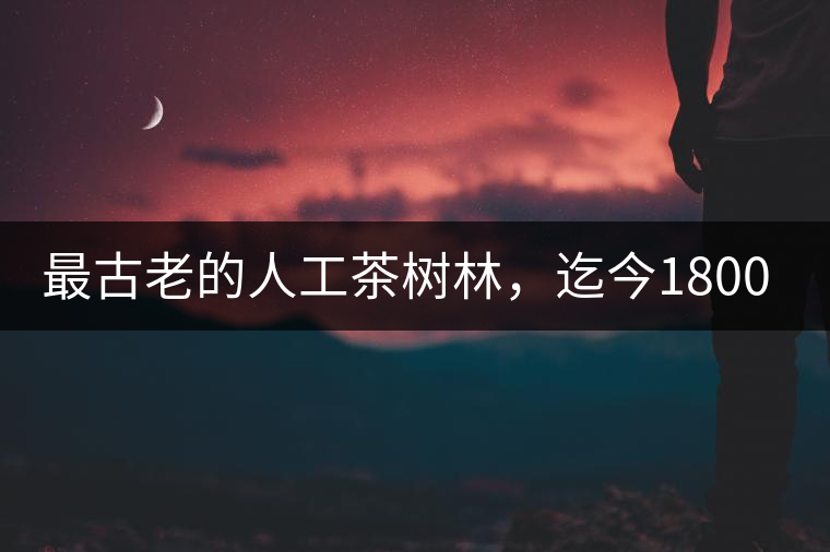 最古老的人工茶樹林，迄今1800年歷史，將申報(bào)世界文...最古老的人工茶樹林，迄今1800年歷史，將申報(bào)世界文化遺產(chǎn)