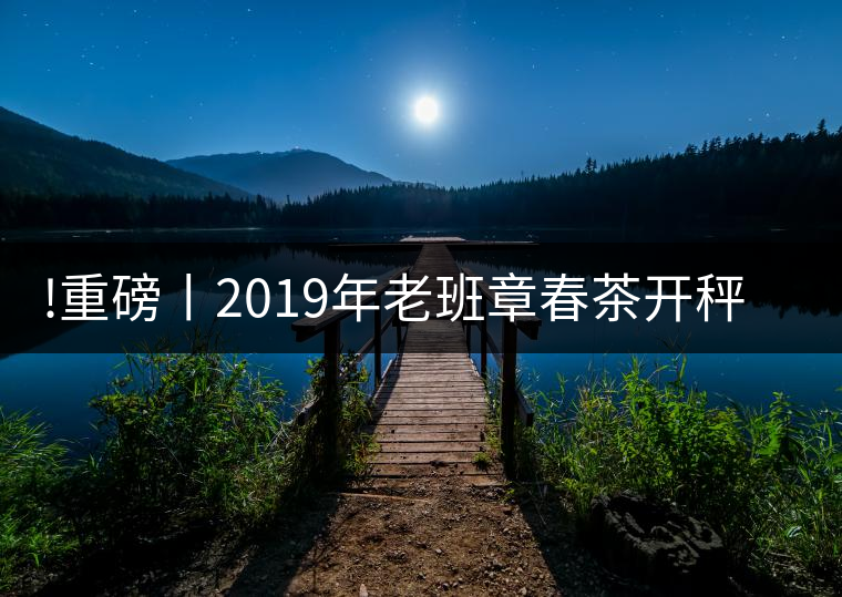 !重磅丨2019年老班章春茶開秤，一筆定價？如此出人意料！