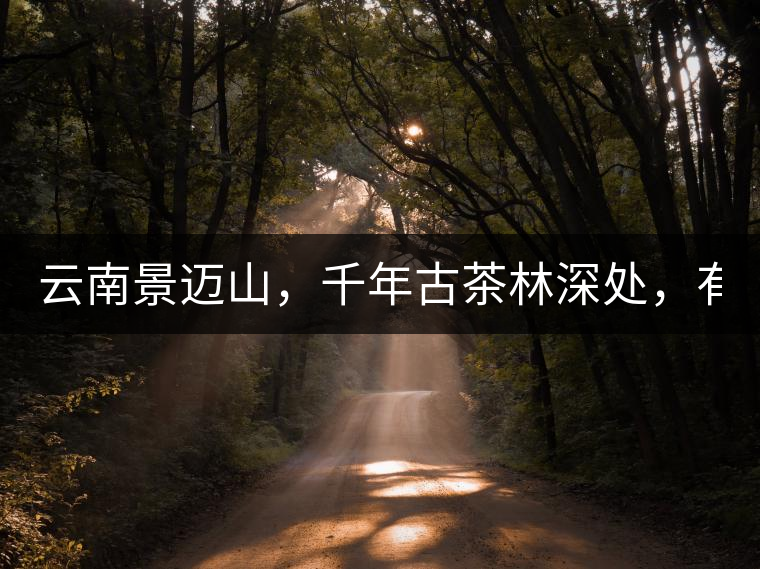 云南景邁山，千年古茶林深處，有一座世外桃源般的糯...云南景邁山，千年古茶林深處，有一座世外桃源般的糯干古寨