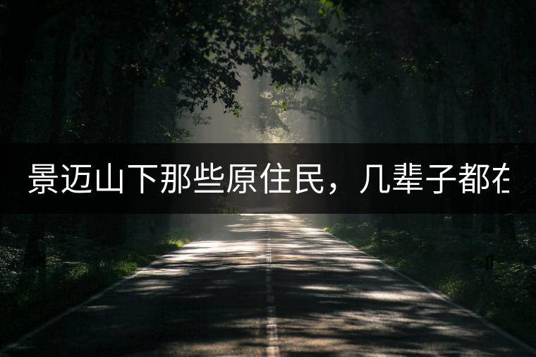 景邁山下那些原住民，幾輩子都在采茶、制茶，才有最...景邁山下那些原住民，幾輩子都在采茶、制茶，才有最好喝的普洱